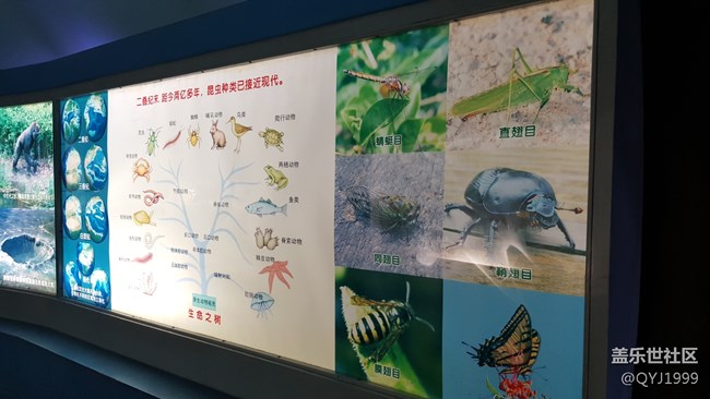 分享一下上海昆蟲博物館參觀心得