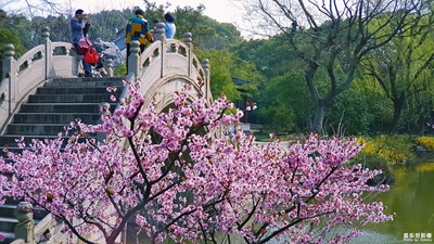 游太倉南苑