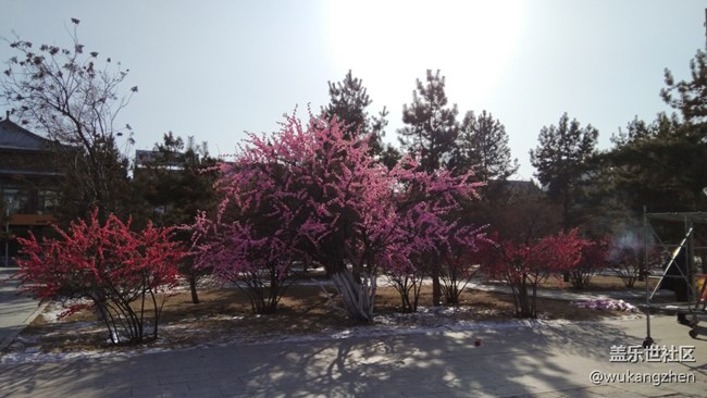 年前去的呼市大召寺