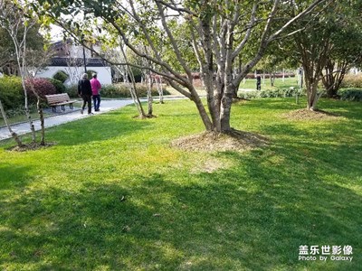 南江公園