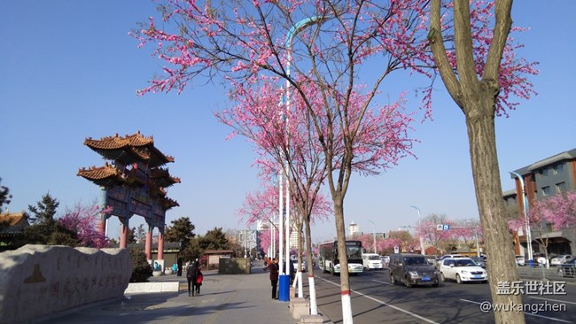 年前去的呼市大召寺