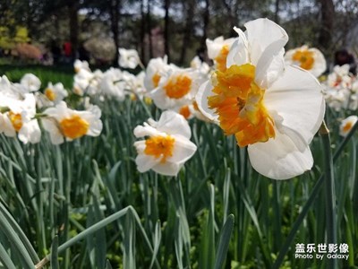 杭州 太子灣