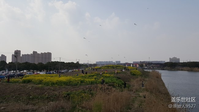 踏春，未能免俗
