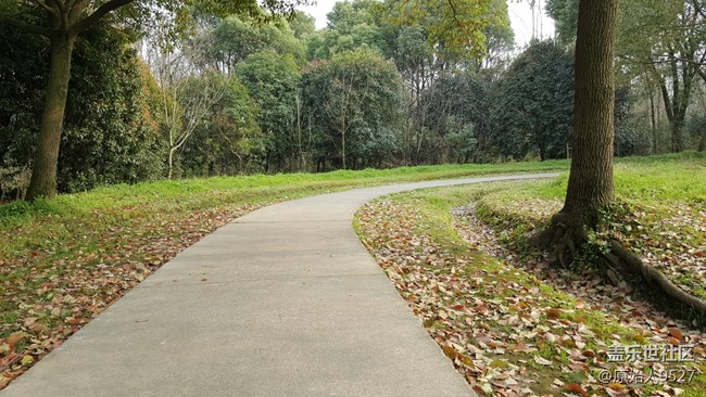 踏春，未能免俗