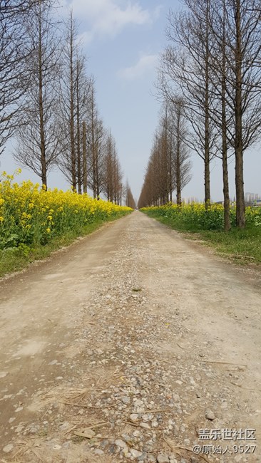 踏春，未能免俗