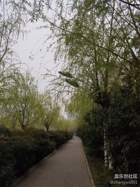 S7E的拍照效果
