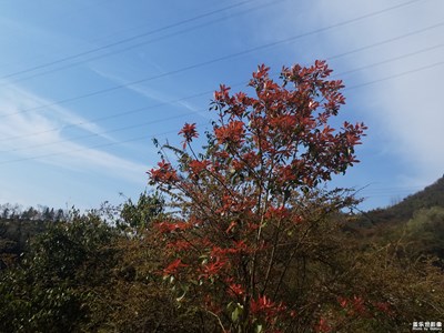 蔚藍(lán)的天空