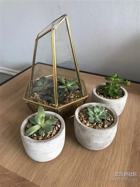 三星S8拍照樣張  iPhone 7弱爆了