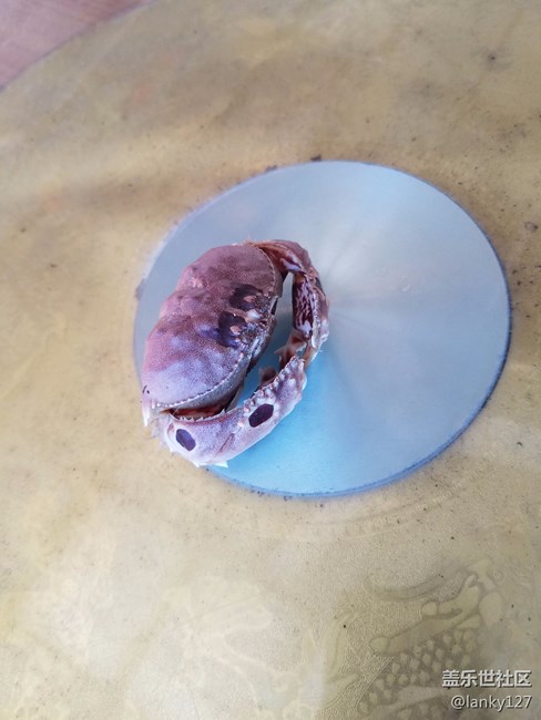 三桑安卓70的傷。