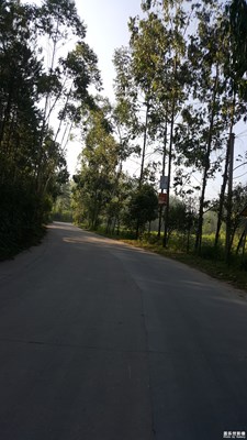 路+南雄+迎著太陽上班 追著太陽下班