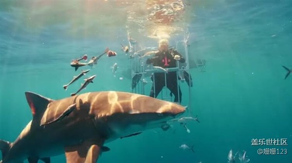 三星S8水下開箱：竟然引來了鯊魚群