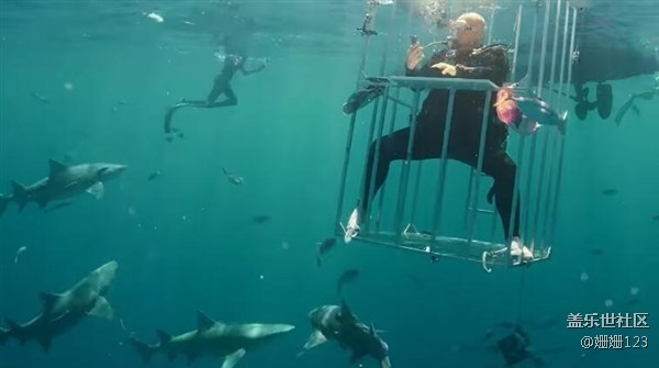 三星S8水下開箱：竟然引來了鯊魚群