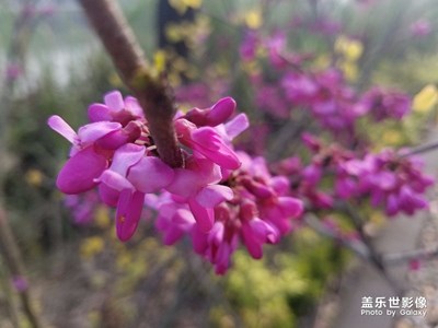 春暖花開