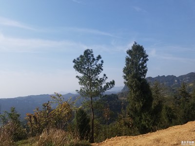 坐在車上拍的，也不知道效果咋樣