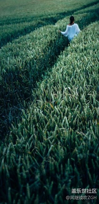 Galaxy S8/S8+ 系統(tǒng)壁紙高清圖欣賞集，美！