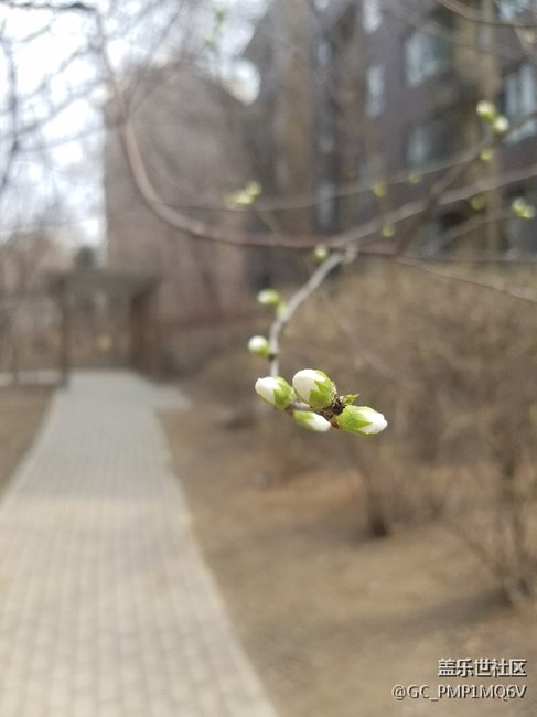 最近相機感覺不錯了，錯覺嘛