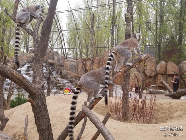 驚艷到極致便是永恒——Galaxy S8拍照體驗(yàn)【Olive】