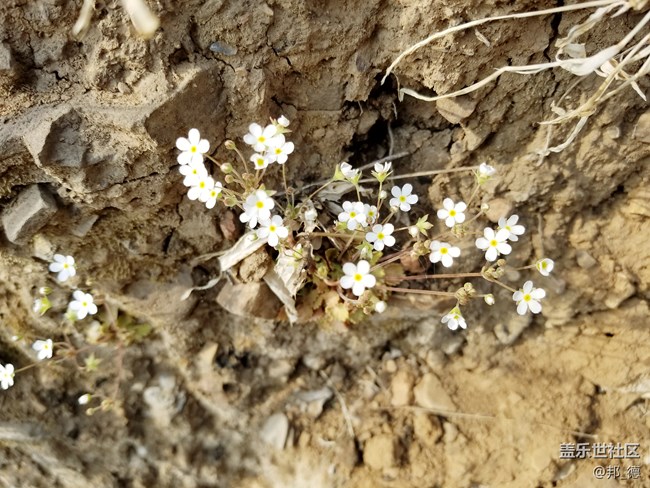 精雕細(xì)琢 圓潤如玉 短暫的邂逅三星S8使用三日有感
