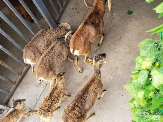 驚艷到極致便是永恒——Galaxy S8拍照體驗(yàn)【Olive】