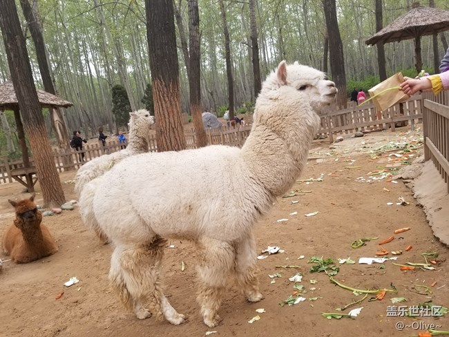 驚艷到極致便是永恒——Galaxy S8拍照體驗(yàn)【Olive】