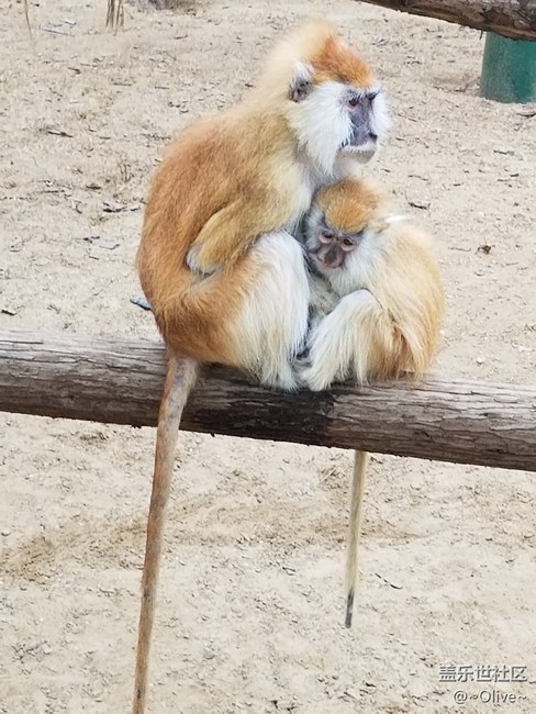 驚艷到極致便是永恒——Galaxy S8拍照體驗(yàn)【Olive】