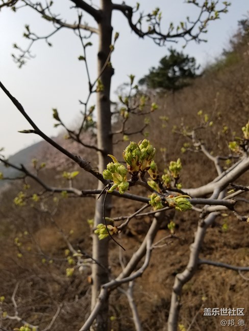 精雕細(xì)琢 圓潤如玉 短暫的邂逅三星S8使用三日有感