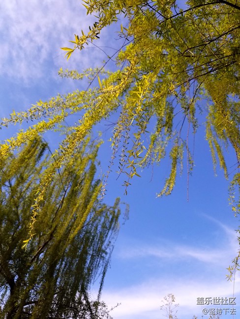 實在忍受不了7.0續(xù)航，求告知哪個6.0版本比較好用