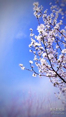 好久沒(méi)發(fā)圖了