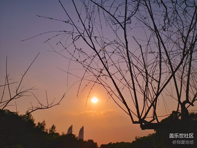 【樂享c5 pro】拍照體驗(yàn)——跟著C5 pro走進(jìn)廈大情人谷