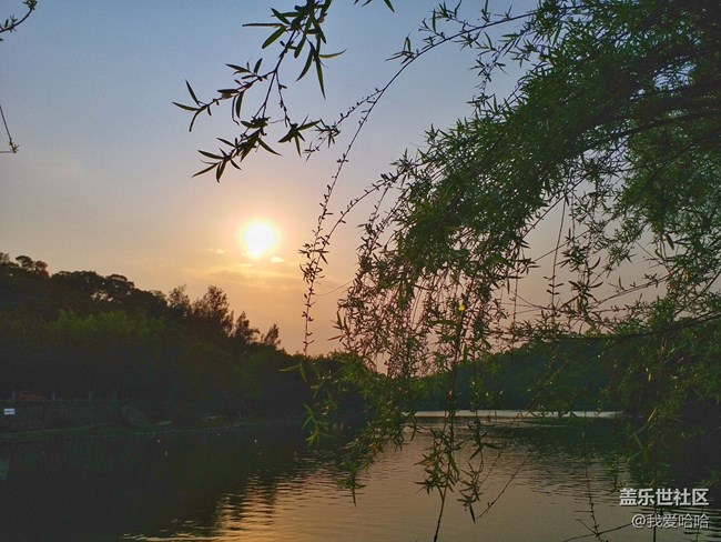 【樂享c5 pro】拍照體驗(yàn)——跟著C5 pro走進(jìn)廈大情人谷