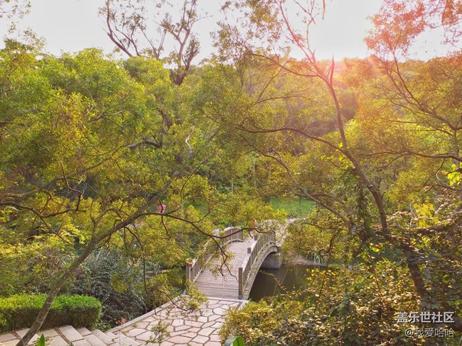 【樂享c5 pro】拍照體驗(yàn)——跟著C5 pro走進(jìn)廈大情人谷