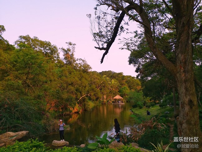 【樂享c5 pro】拍照體驗(yàn)——跟著C5 pro走進(jìn)廈大情人谷