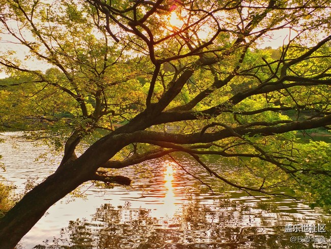 【樂享c5 pro】拍照體驗(yàn)——跟著C5 pro走進(jìn)廈大情人谷