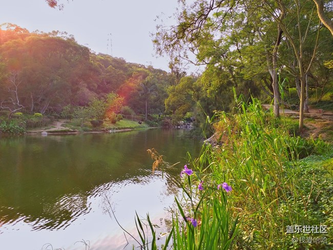 【樂享c5 pro】拍照體驗(yàn)——跟著C5 pro走進(jìn)廈大情人谷