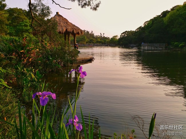 【樂享c5 pro】拍照體驗(yàn)——跟著C5 pro走進(jìn)廈大情人谷