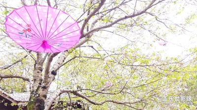時(shí)光，濃淡相宜。。。。。