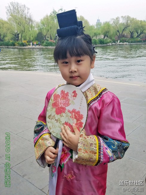 清明時節(jié)，去大明湖畔邂逅夏雨荷