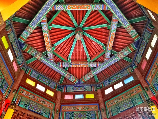 清明時節(jié)，去大明湖畔邂逅夏雨荷