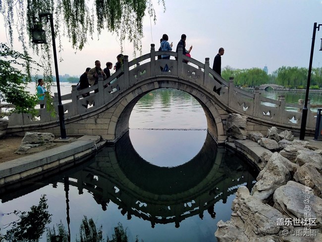 清明時節(jié)，去大明湖畔邂逅夏雨荷