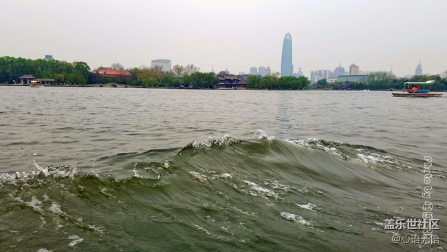 清明時節(jié)，去大明湖畔邂逅夏雨荷