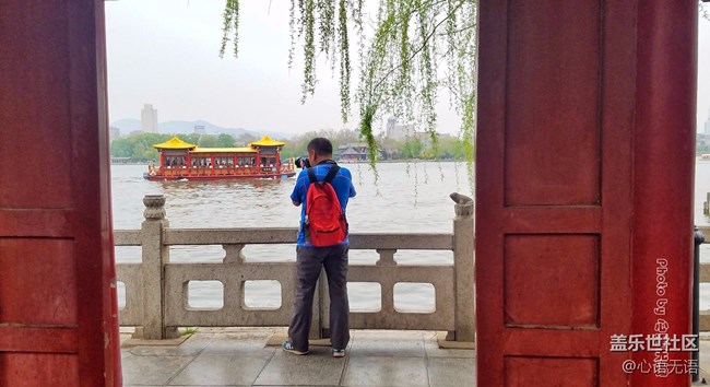 清明時節(jié)，去大明湖畔邂逅夏雨荷