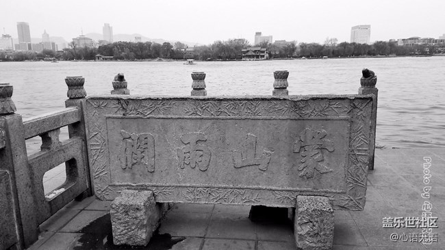 清明時節(jié)，去大明湖畔邂逅夏雨荷