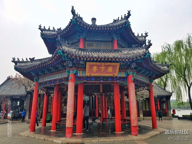 清明時節(jié)，去大明湖畔邂逅夏雨荷