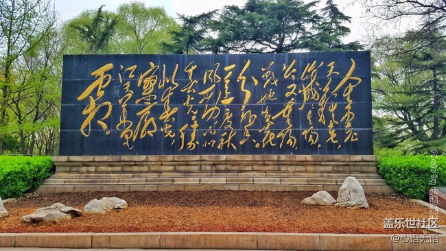清明時節(jié)，去大明湖畔邂逅夏雨荷