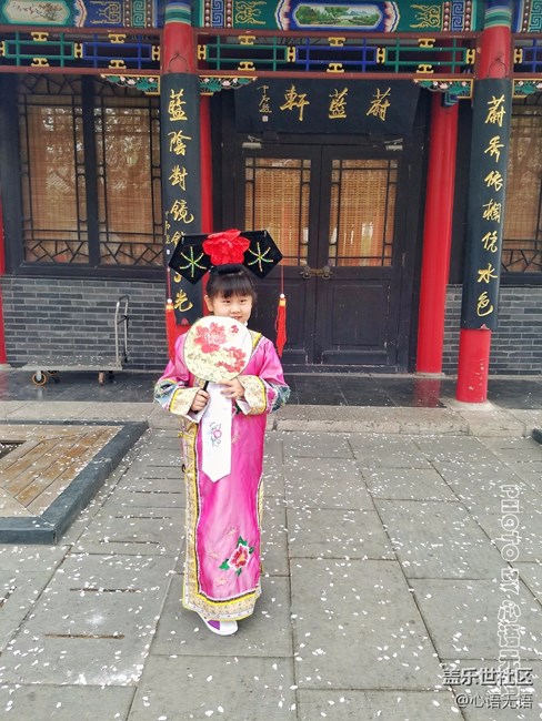 清明時節(jié)，去大明湖畔邂逅夏雨荷