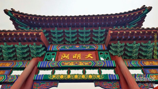 清明時節(jié)，去大明湖畔邂逅夏雨荷