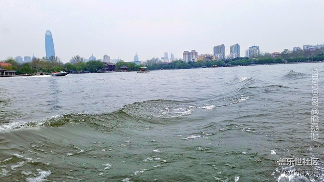 清明時節(jié)，去大明湖畔邂逅夏雨荷
