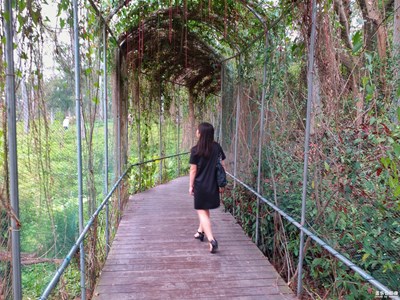 我眼中的世界+廈門+帶上c5 pro 去尋找春天色彩