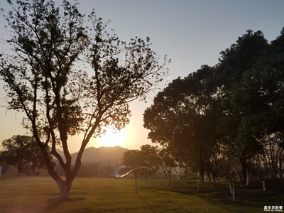 3月南京玄武湖隨拍