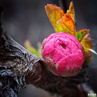 春·萌動(dòng)！